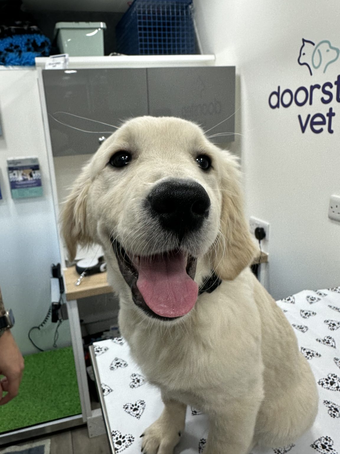 Careers Doorstep Vet